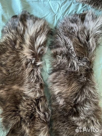 Воротник из енота