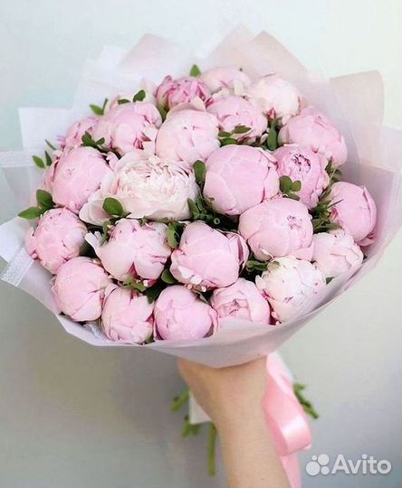 Пионы Букет пионов