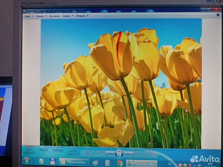 Мониторы sony и LG