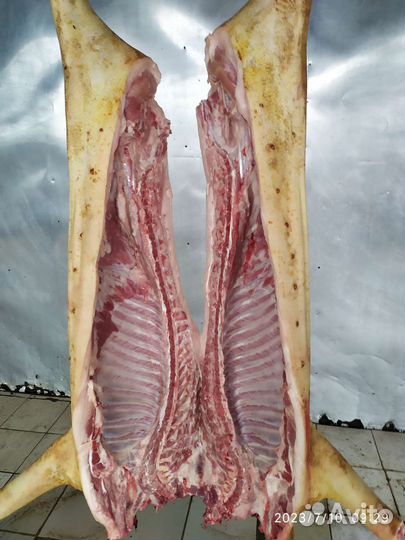 Мясо свинина домашняя