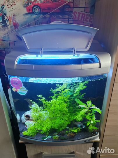 Аквариум