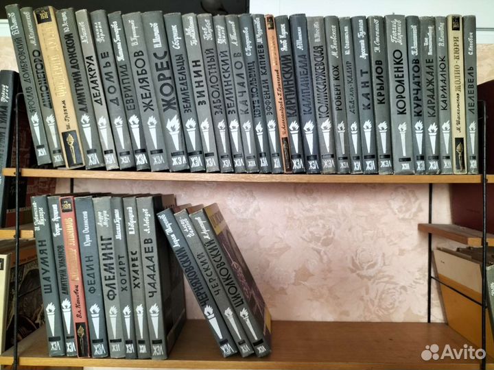 Библиотека книг жзл, 133 книги