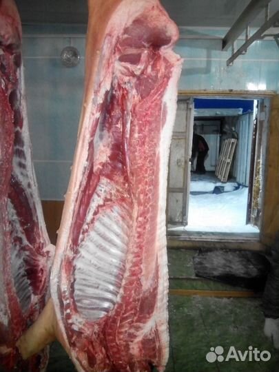 Продаю Мясо свинина и субпродукты свиные