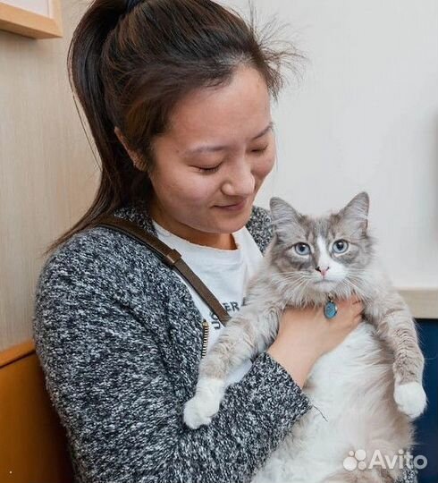 Скорая ветеринарная помощь. Ветеринарный врач