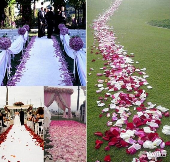 Лепестки роз