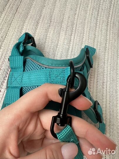 Шлейка, поводок для маленьких кошек и собак