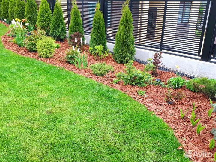 Кора сибирской лиственницы.Мульча