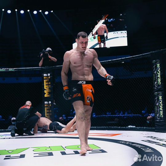 Тренер по боксу и мма