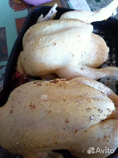 Мясо бройлеров