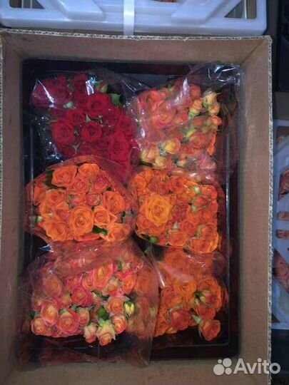 Цветы,розы оптом