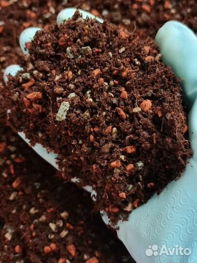 Грунт для ароидных