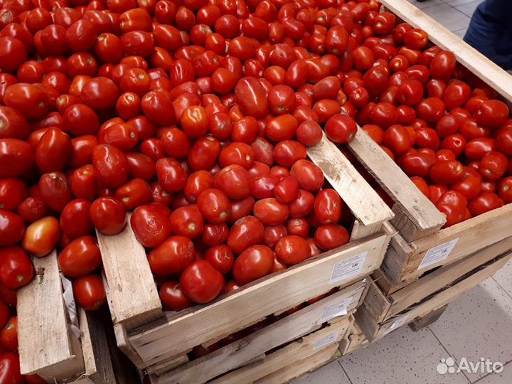 Помидоры оптом