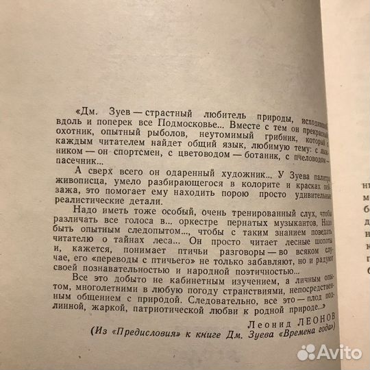 Дары русского леса