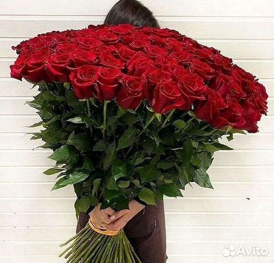 Розы Высокие 150см 160см 170см 180см 190см 2м