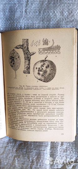 Справочник и учебник по заболеванию растений