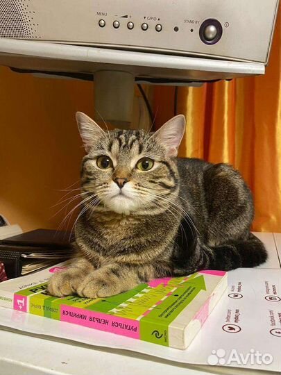 Спасите животное