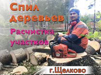 Спил деревьев