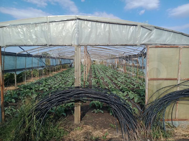 Участок 9 сот. (ИЖС)