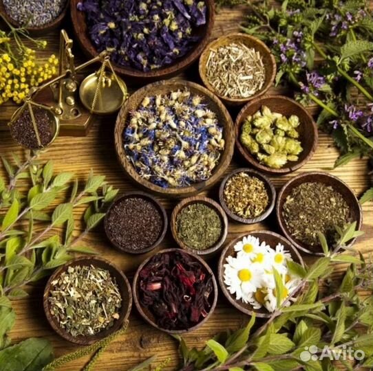 Травы, сборы, корни