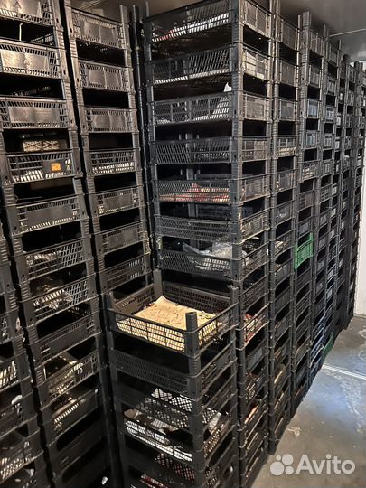 Пластиковые ящики для овощей бу