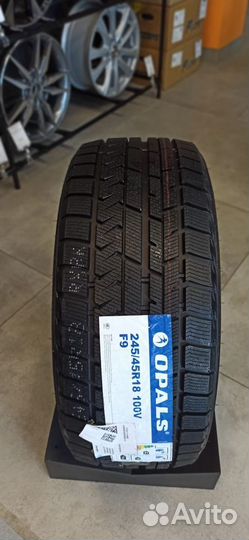 Opals SilverSnow F9 205/55 R16