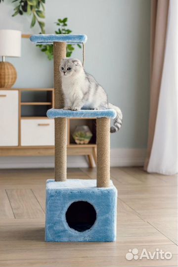 Домик для кошки новый