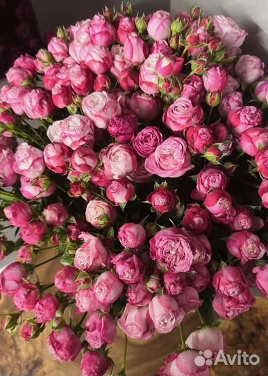 Букеты из живых роз в наличии