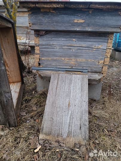 Ульи для пчел бу