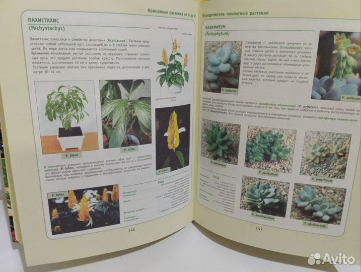 Книга про растения