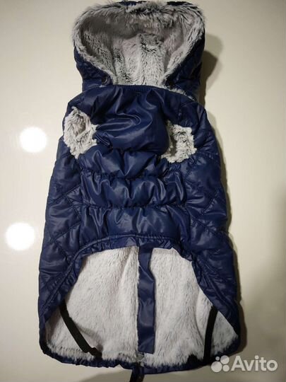 Плащ, пальто, одежда для собак