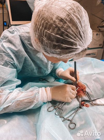 Ветеринарный врач