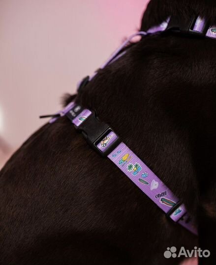 Анатомическая шлейка для собак