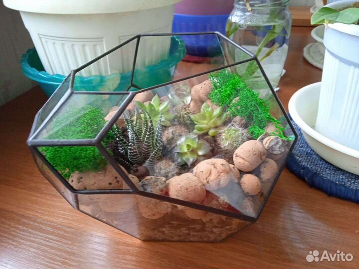 Флорариум бутон