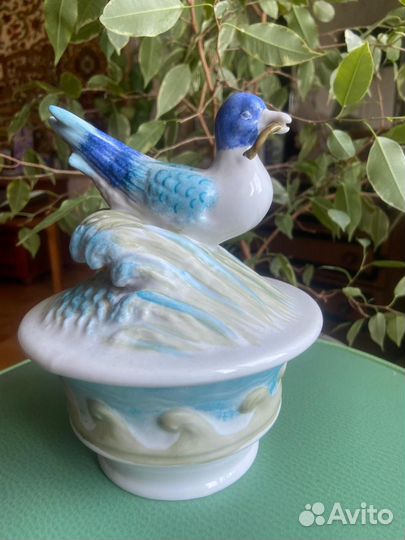 Чайка с анчоусом