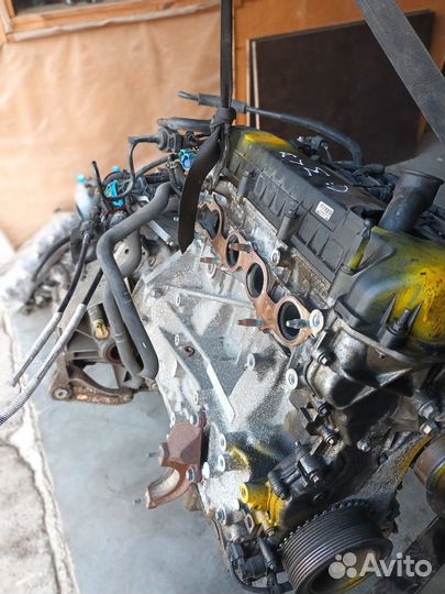 Двигатель Ford Focus 2 2.0 aoda