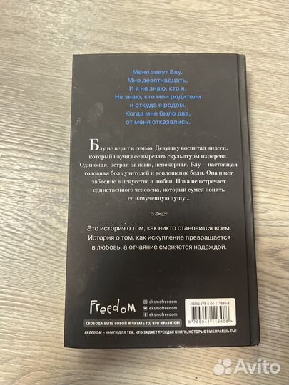 Книга Эми Хармон Другая Блу