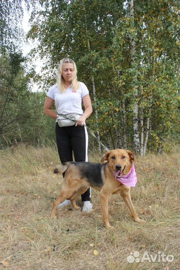 Баффи - рыжее солнышко - ищет дом