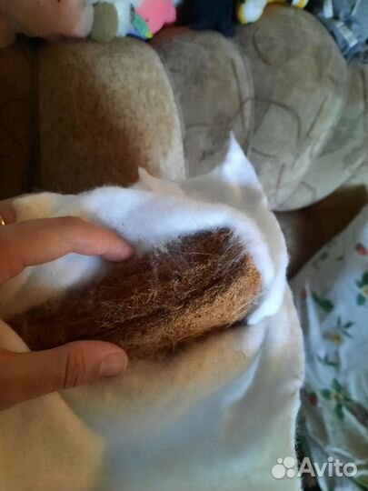 Матрасик в кроватку цельный кокос