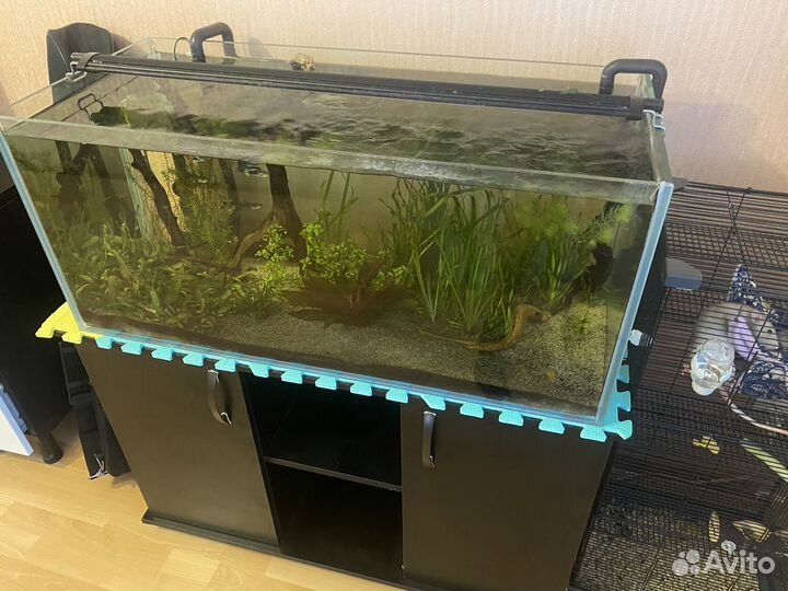 Аквариум 100л