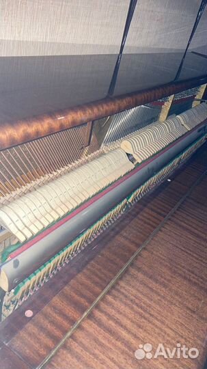 Пианино Petrof