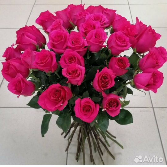 Розы 220