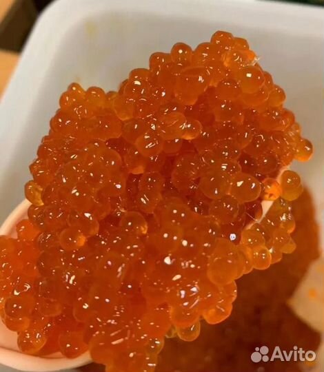 Икра, печень трески, семга оптом