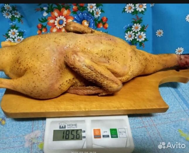 Мясо птицы