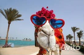 Горящие туры в Египет