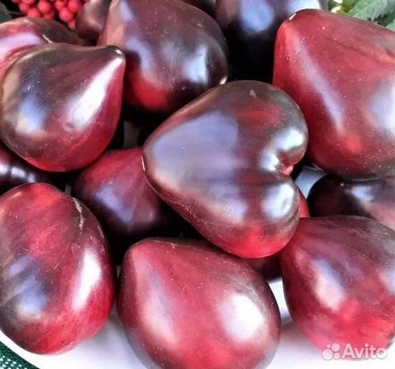 Семена сортовых коллекционных томатов,тыкв, фасоли