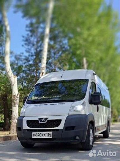 Аренда, заказ микроавтобуса