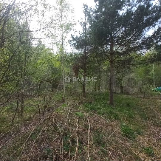 Участок 10,8 сот. (СНТ, ДНП)