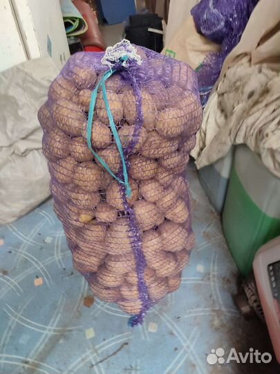 Продам картофель едовой