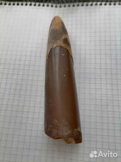 Белемнит большой, Чёртов палец