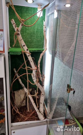 Террариум для рептилий бу